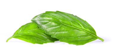 Beyaz arka plan üzerinde izole fesleğen yaprağı