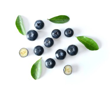 Beyaz arkaplanda yaban mersini koleksiyonu izole edildi