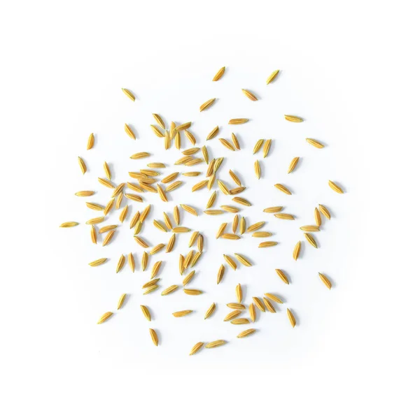 Rice Seeds Isolated White Background — Stock Photo, Image