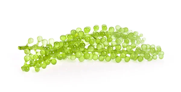 Sea Grapes Green Caviar Seaweed White Background — Stock Photo, Image