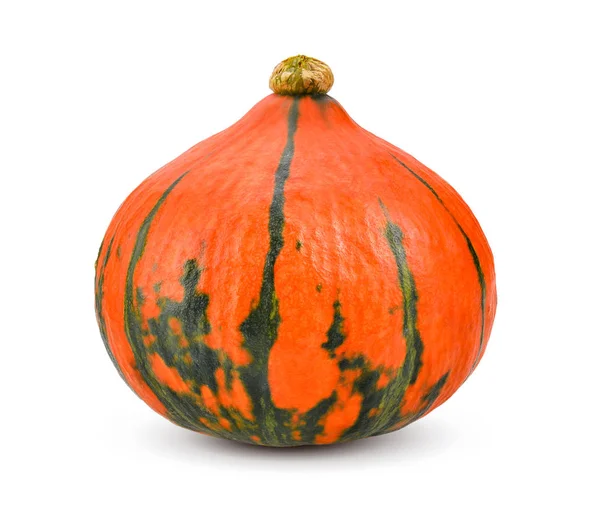 Pumpkin White Background Full Depth Field Clipping Path Stock Picture