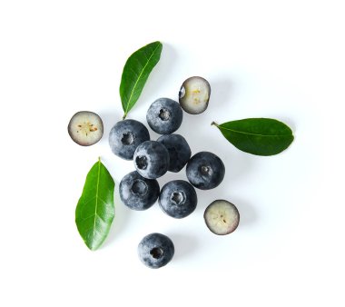 Beyaz arkaplanda yaban mersini koleksiyonu izole edildi