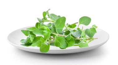 taze kekik ot plaka üzerinde beyaz bir arka plan izole