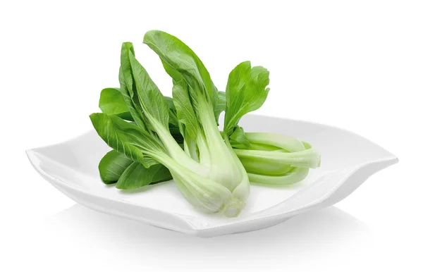 Bok Choy Cavolo Cinese Piatto Ceramica Sfondo Bianco — Foto Stock