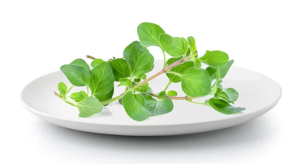 Oregano Kruid Plaat Geïsoleerd Een Witte Achtergrond — Stockfoto