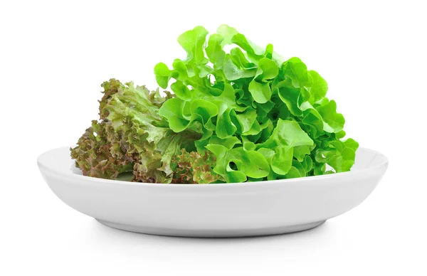 Friss Zöld Saláta Levelek Lemez Fehér Háttér — Stock Fotó