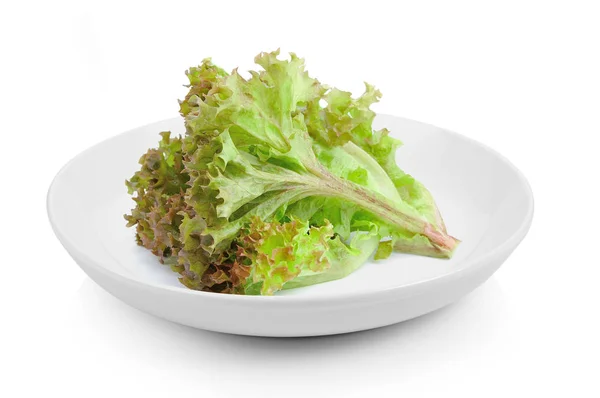 Saláta Levelek Lemez Fehér Háttér — Stock Fotó