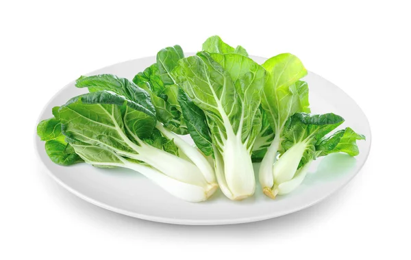 Pok Choi Lastra Isolata Fondo Bianco — Foto Stock