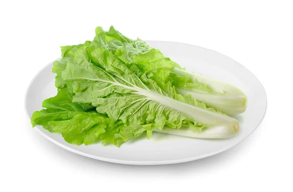 Lettuce Plate Isolated White Background — Stock Photo, Image