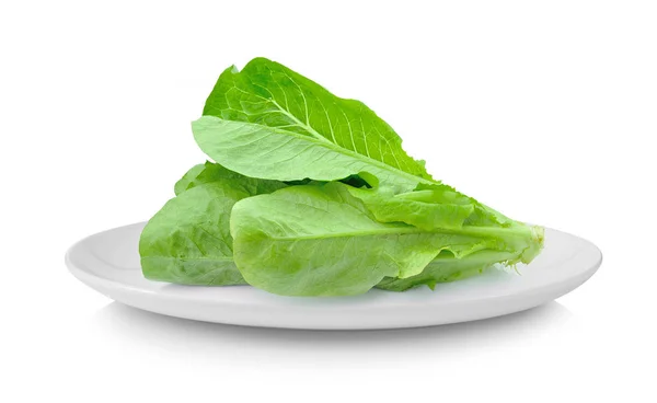 Cos Lettuce Plaat Geïsoleerd Witte Achtergrond — Stockfoto