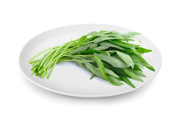 Water Spinach Plate Isolated White Background — Stock Photo, Image