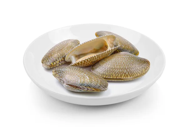 Surf Clam Plate White Background — Stock Photo, Image
