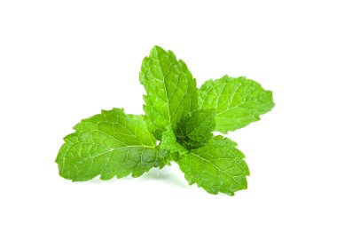 nane ot yapraklar. Beyaz arka plan üzerinde izole
