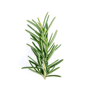 Beyaz arkaplanda taze biberiye izole edildi