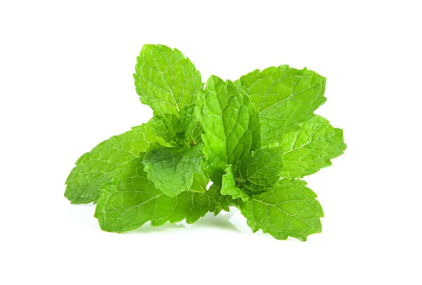 Mint Leafs Herb Isolated White Background — Stock Photo, Image
