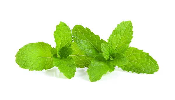 Mint Leafs Isolated White Background — Stock Photo, Image