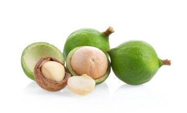 Beyaz arka planda izole edilmiş Macadamia fındıkları.