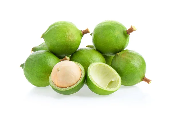Macadamia Nüsse Isoliert Auf Weißem Hintergrund — Stockfoto