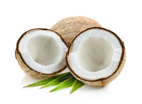 Coconuts Leaf Isolated White Background — Stock Photo, Image