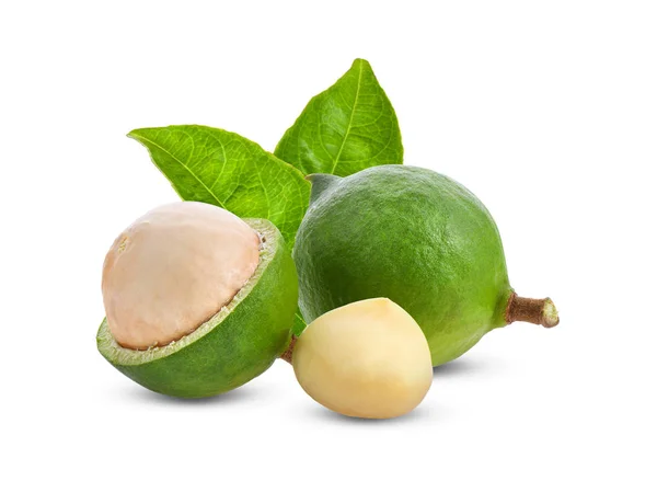 Nueces Macadamia Con Hoja Aislada Sobre Fondo Blanco — Foto de Stock