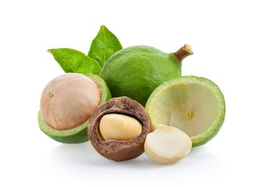 Beyaz arka planda izole edilmiş Macadamia fındıkları.