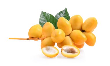 hurma taze meyve whitebackground