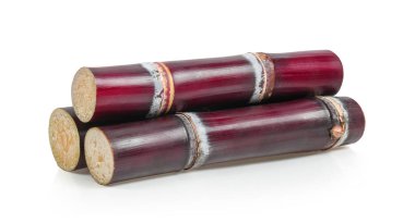 Beyaz arkaplanda şeker kamışı