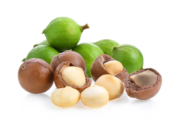Macadamia Nuts Isolated White Background — Stock Photo, Image