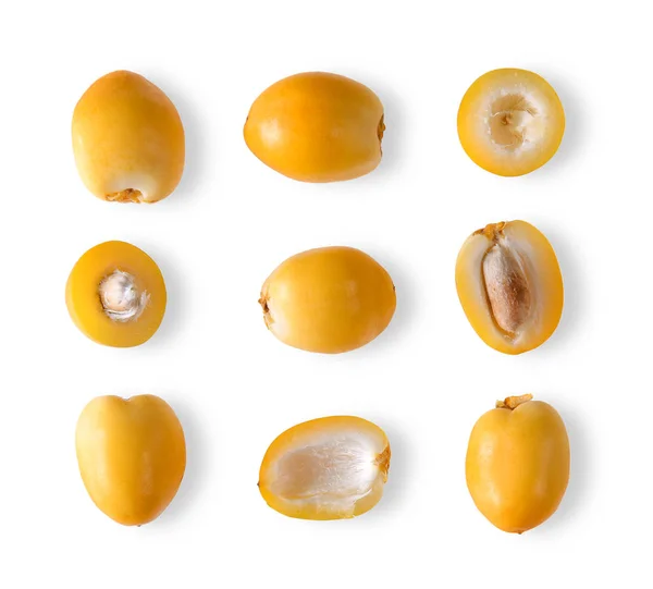 Data Palma Fruta Fresca Brancofundo — Fotografia de Stock