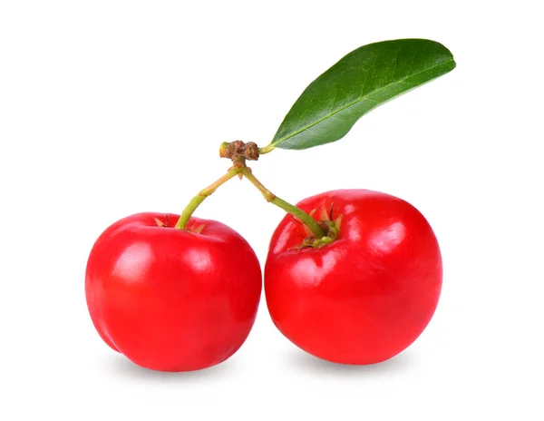 Barbados Cherry Malpighia Stipspanner Familie Malpighiaceae Witte Achtergrond — Stockfoto