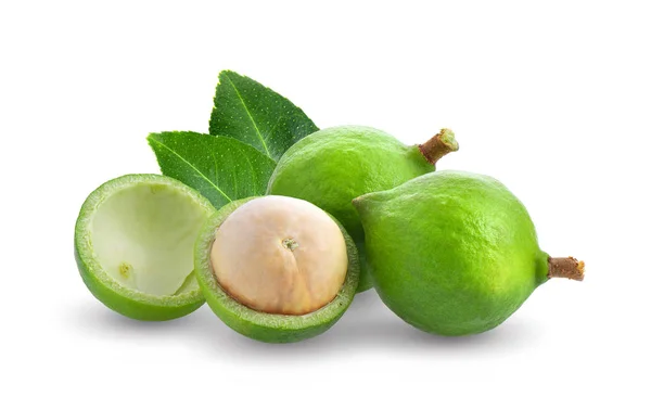 Nueces de macadamia con hoja aislada sobre fondo blanco. — Foto de Stock