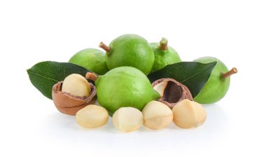 Beyaz arka planda yaprağı olan Macadamia fındıkları