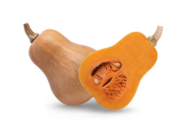 Butternut geïsoleerd op een witte achtergrond — Stockfoto