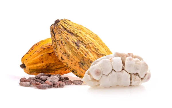 Cacao aislado sobre fondo blanco — Foto de Stock