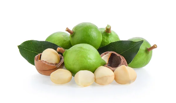 Орехи макадамии с листьями на белом фоне — стоковое фото