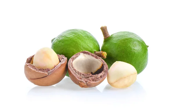 Macadamia-Nüsse isoliert auf weißem Hintergrund. — Stockfoto