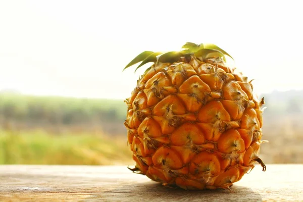 Single Ananasfruit Met Kopie Ruimte Houten Tafel Natuur Achtergrond — Stockfoto