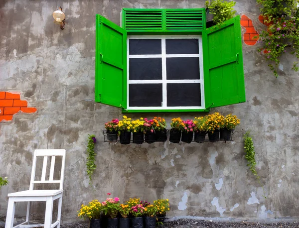 Window green in an old house decorated with flower pots and flowers With a white chair on concrete wall background