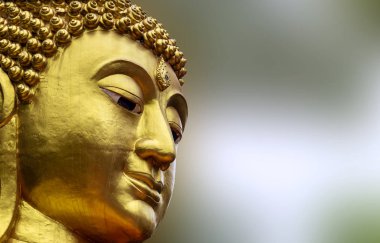 Asya Tayland Heykeli büyük buda Closeup Yüz. bulanıklık arka planda altın Renkli