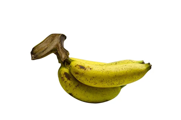 Desenho Animado De Macaco Giro Segurando Banana Ilustração do