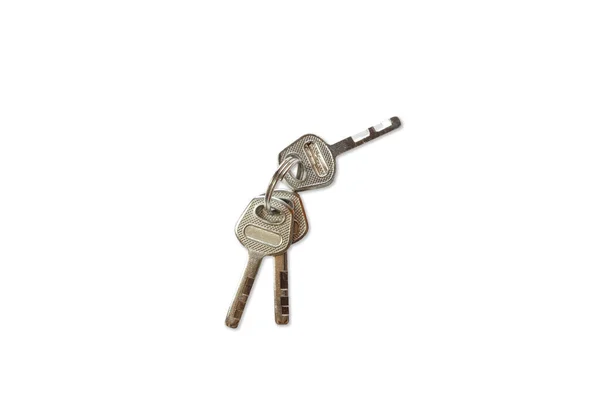 Group Small Home Key Chains Material Silvers Metallic Iron Brass — Stock Photo, Image