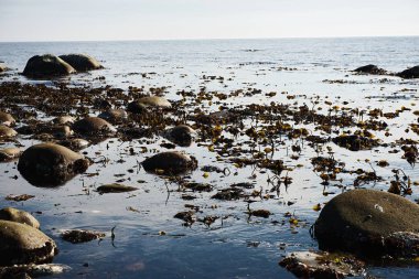 güzel dağ manzarası, taşlar, yeşil çimen, mavi deniz,