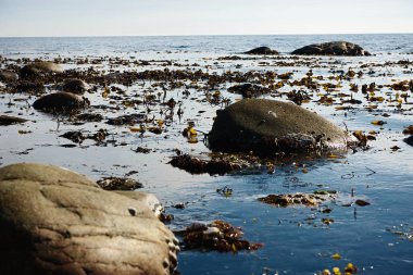 güzel dağ manzarası, taşlar, yeşil çimen, mavi deniz,