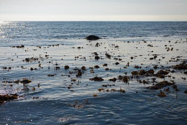 Antik antik sütunlar ve yeşil deniz yosunu ile taşlar ile deniz plajı