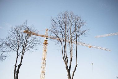 industrial cranes on background of the blue sky and green trees .
