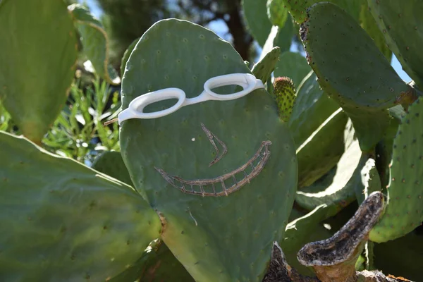 Kaktus Brýlích Vyříznutým Úsměvem Nosem — Stock fotografie