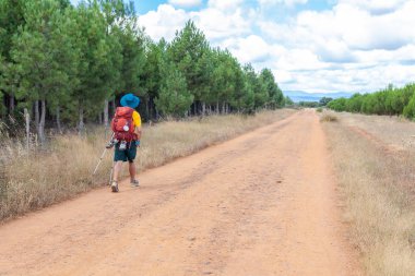 Castilla y Leon çapraz San Justo de la Vega yolda yürürken