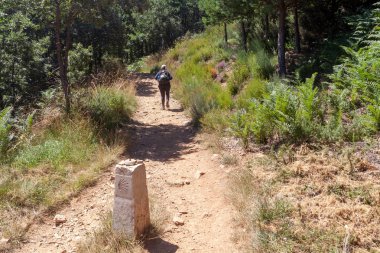 Rota di üzerinde yürüme Santiago di Compostela