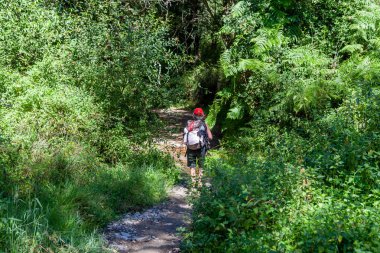 Rota di üzerinde yürüme Santiago di Compostera