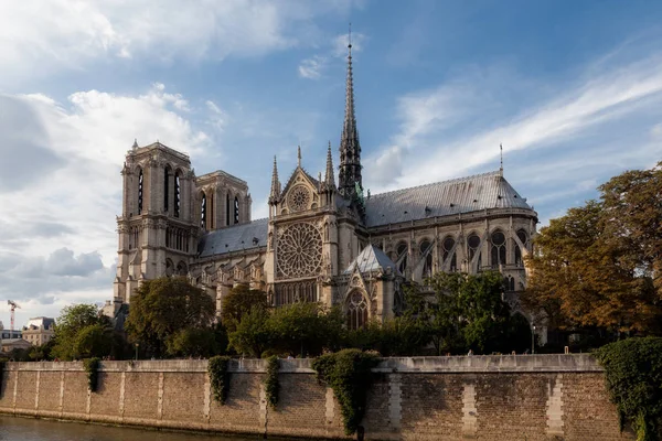 漫步在巴黎的街头 圣母院 — 图库照片